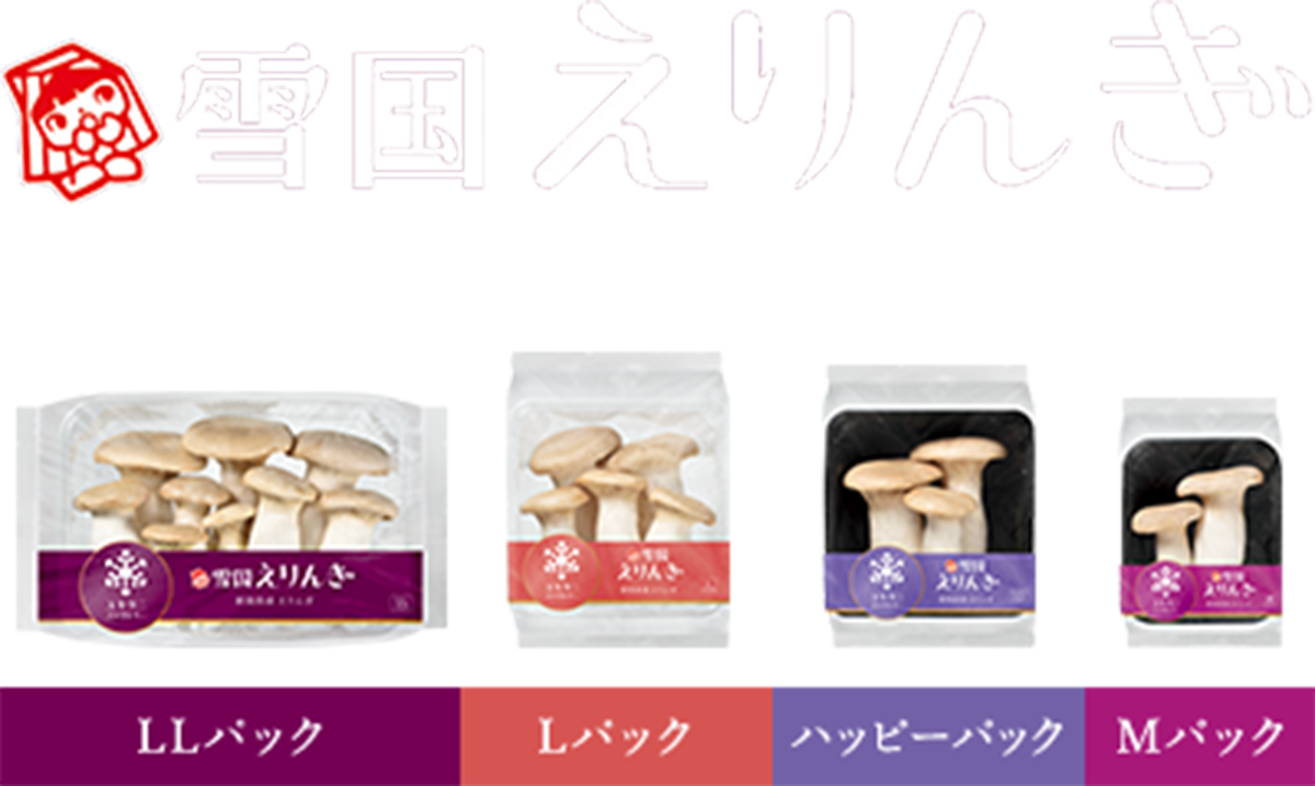 雪国えりんぎ
