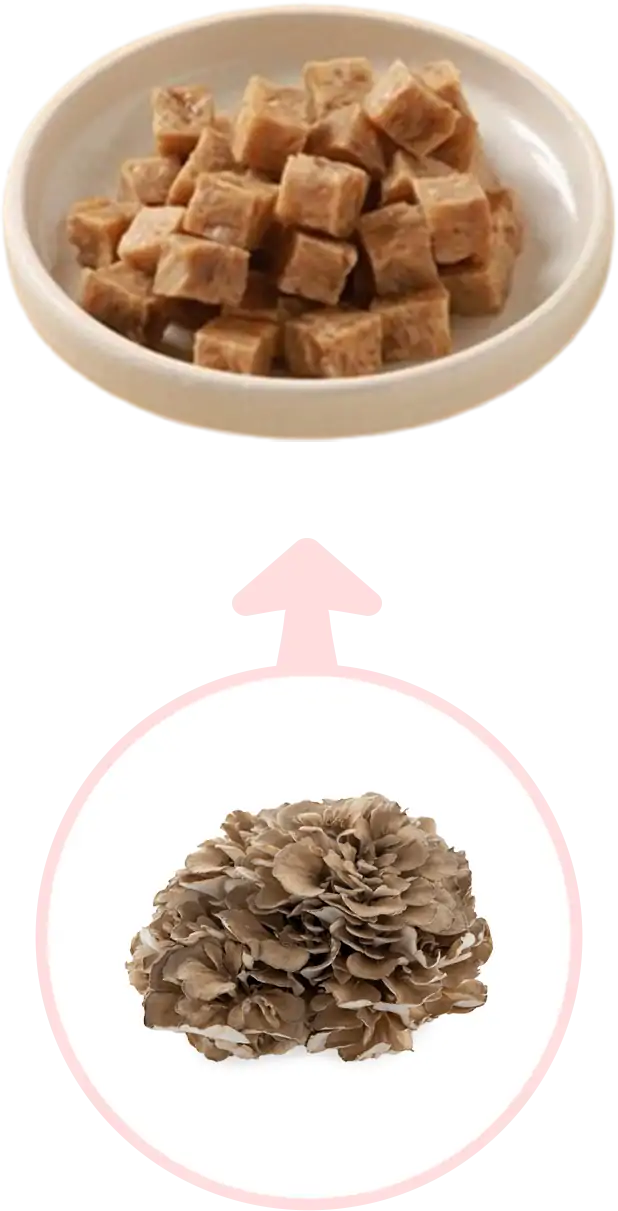 キノコのお肉