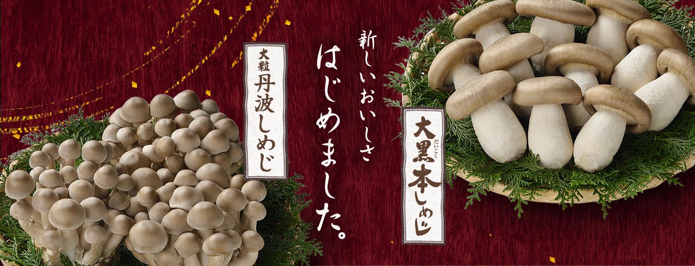 大黒本しめじ・大粒丹波しめじ