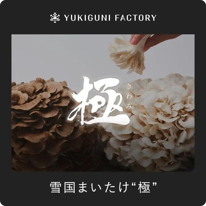 雪国まいたけ 極