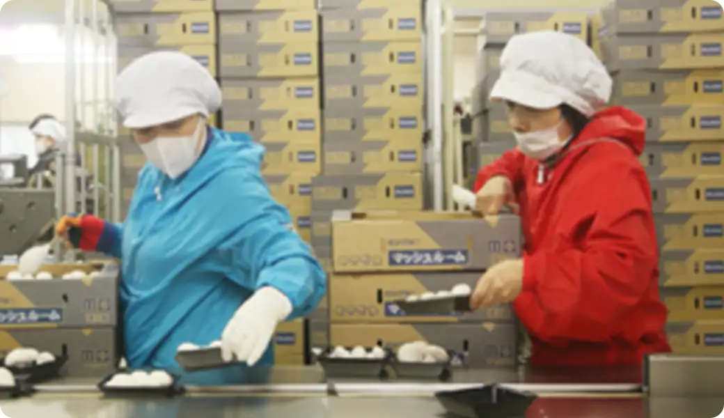 6．梱包・出荷