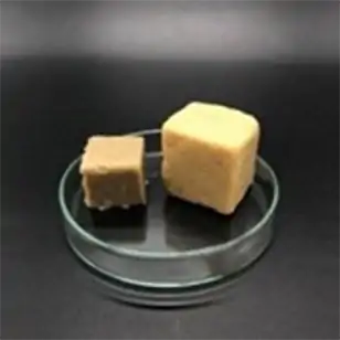 きのこを主原料とする代替肉の開発